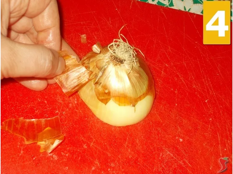 La cipolla