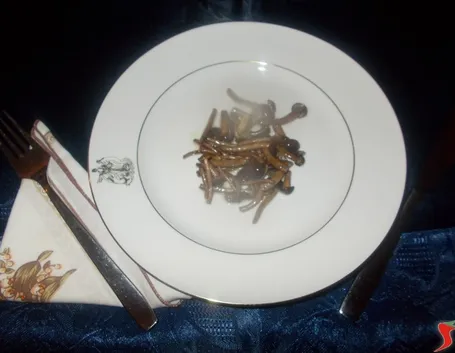 Funghi chiodini