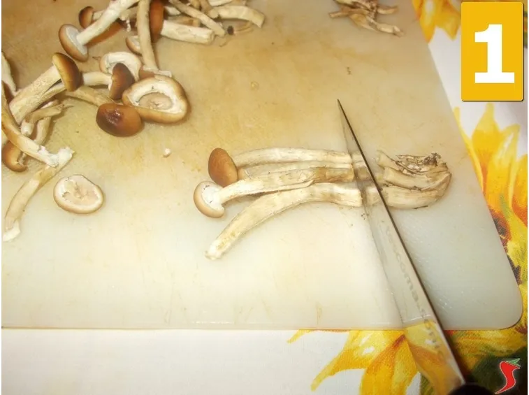 Lavorate i funghi