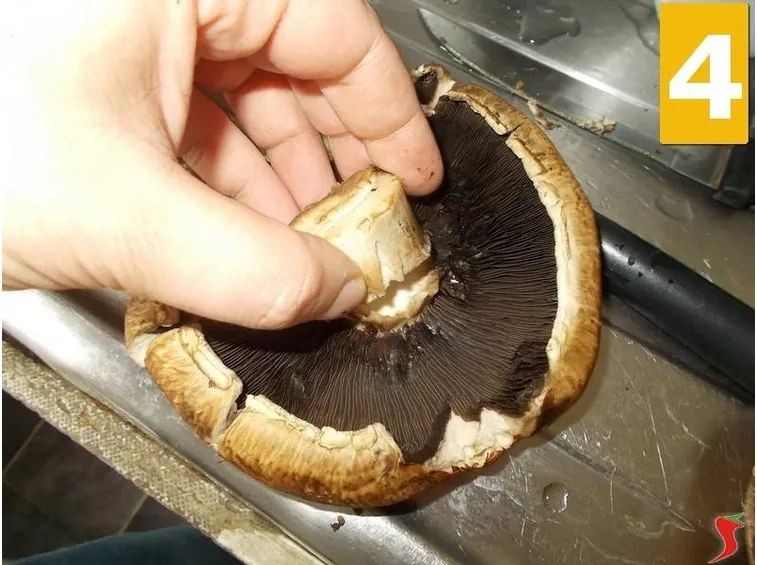 Tagliare i funghi
