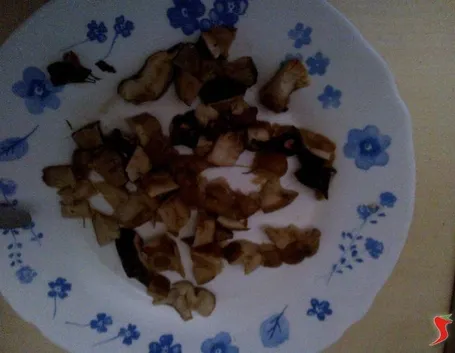 funghi porcini 