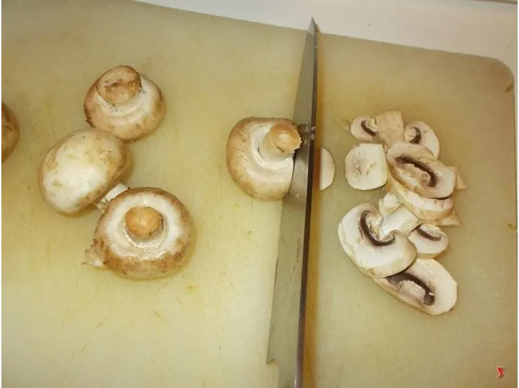 funghi
