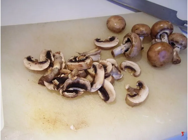 funghi