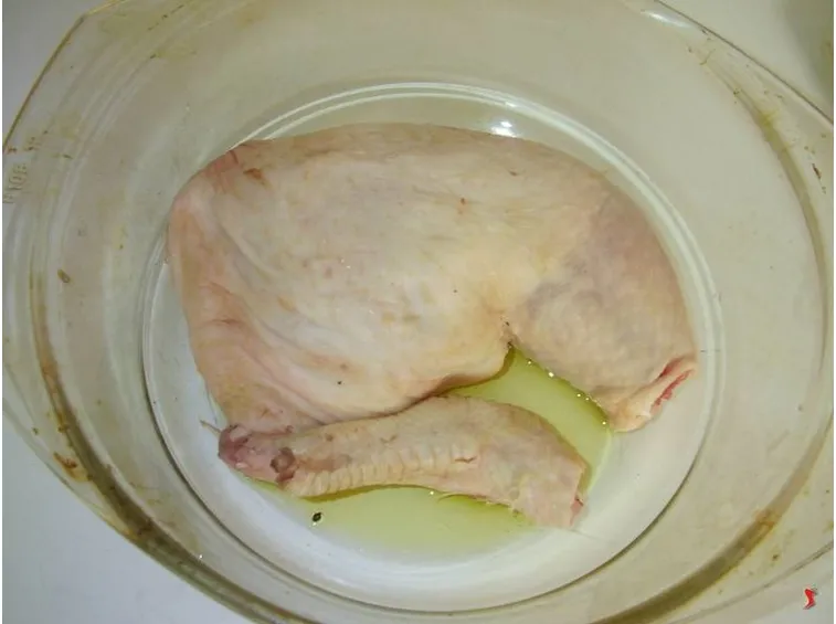 pollo