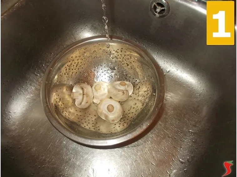 funghi