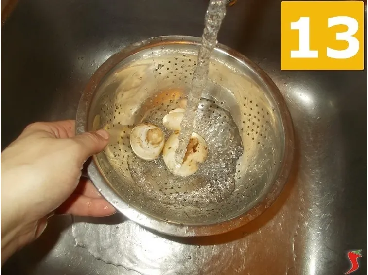 funghi