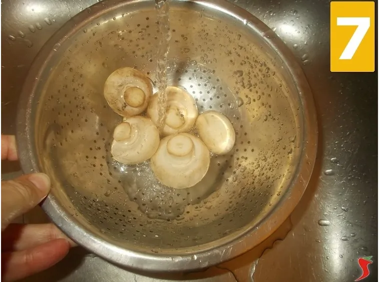 funghi