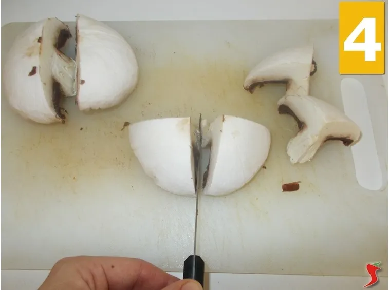 Terminate i funghi