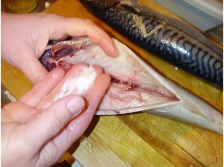 Farcire il pesce