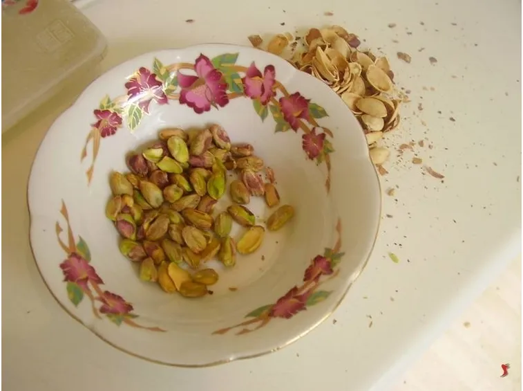 pistacchi