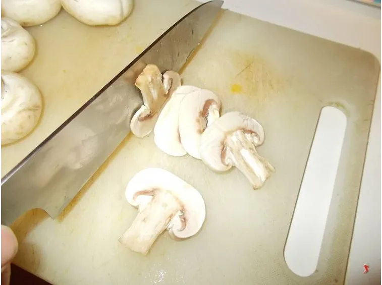 funghi