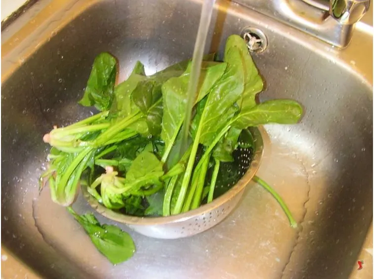 spinaci