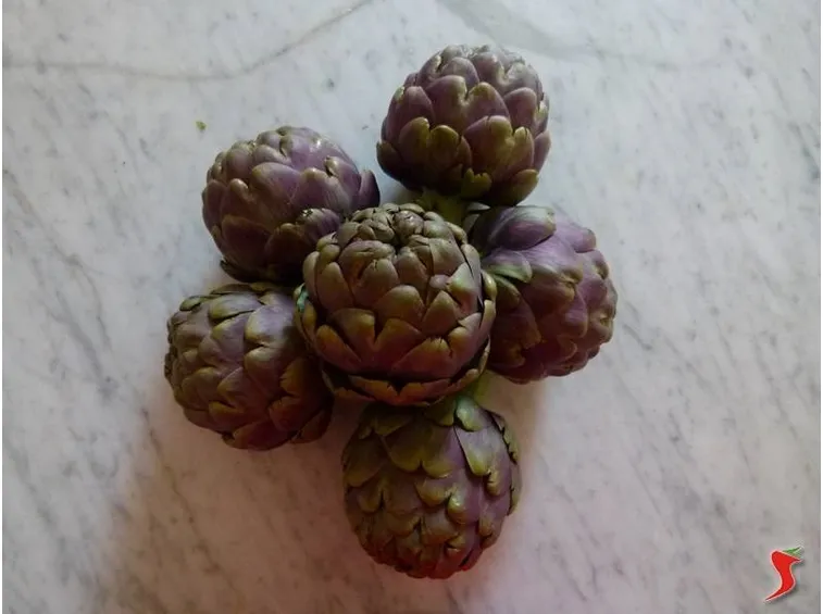carciofi