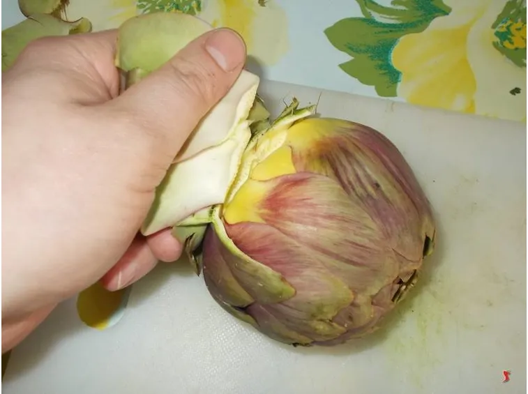 carciofi