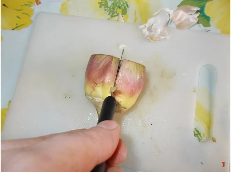 carciofi