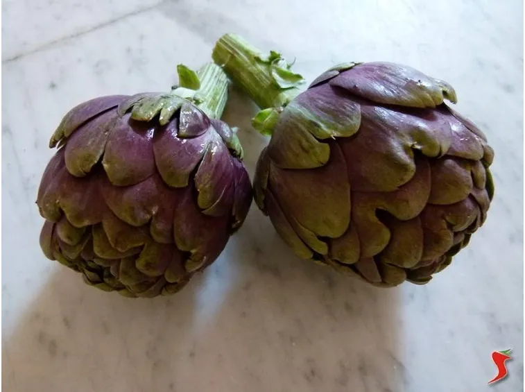 carciofi