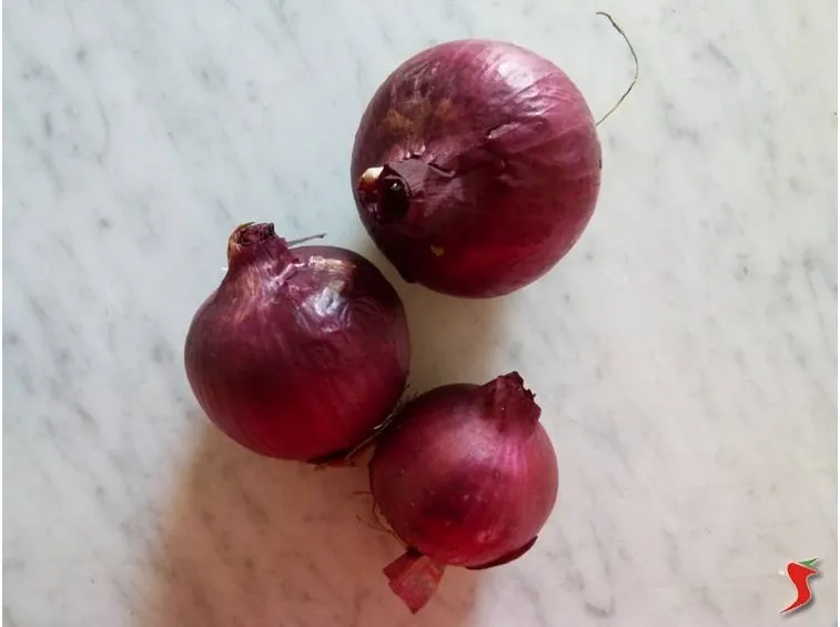 le cipolle