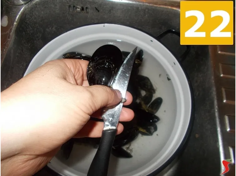 Le cozze