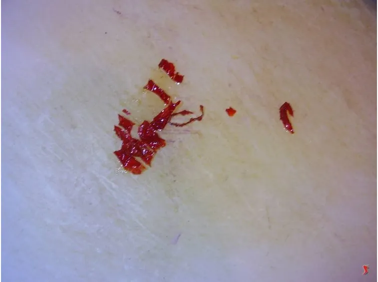peperoncino
