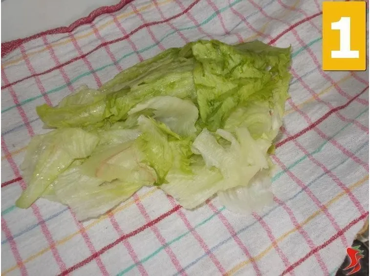 Le foglie d'insalata