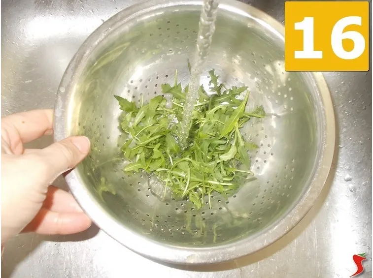 Cominciate l'insalata