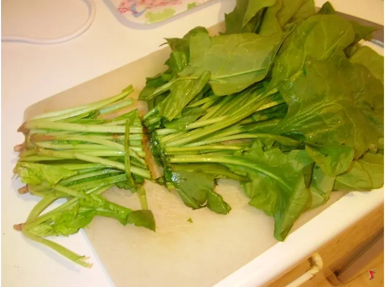 spinaci