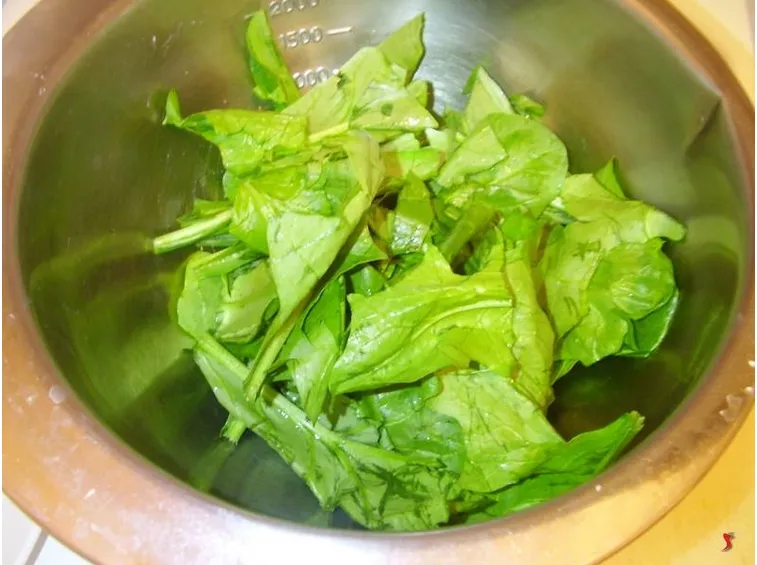 insalata