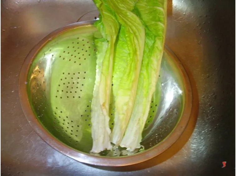lattuga