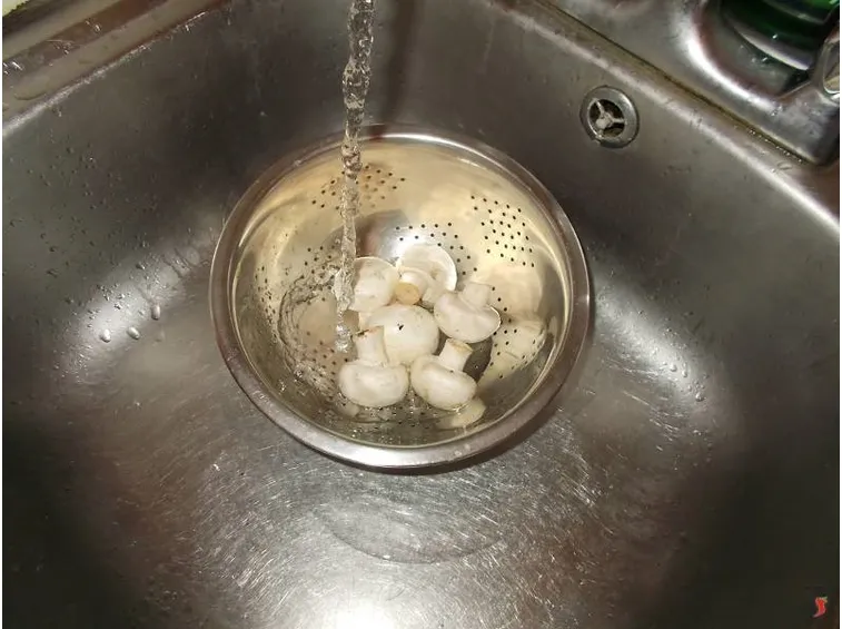 funghi