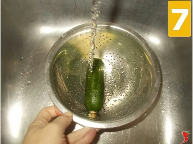 La zucchina