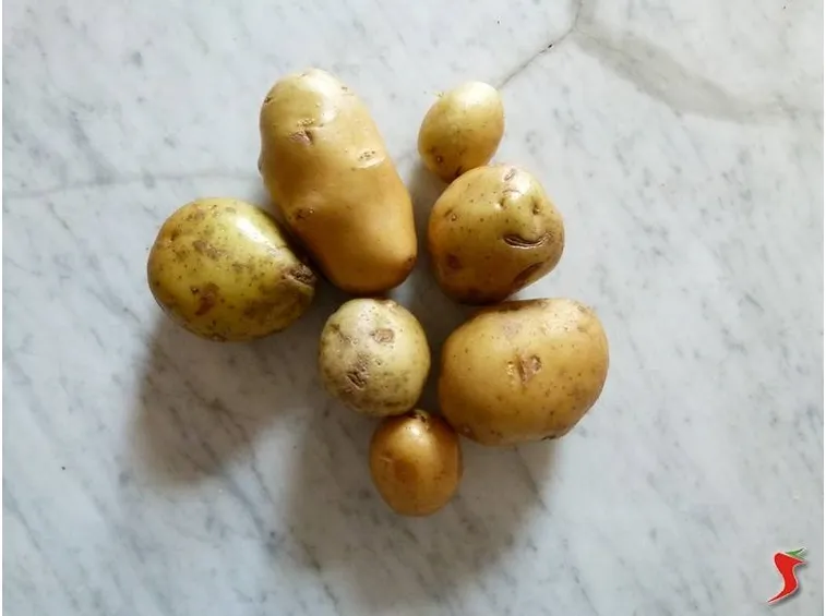 patate