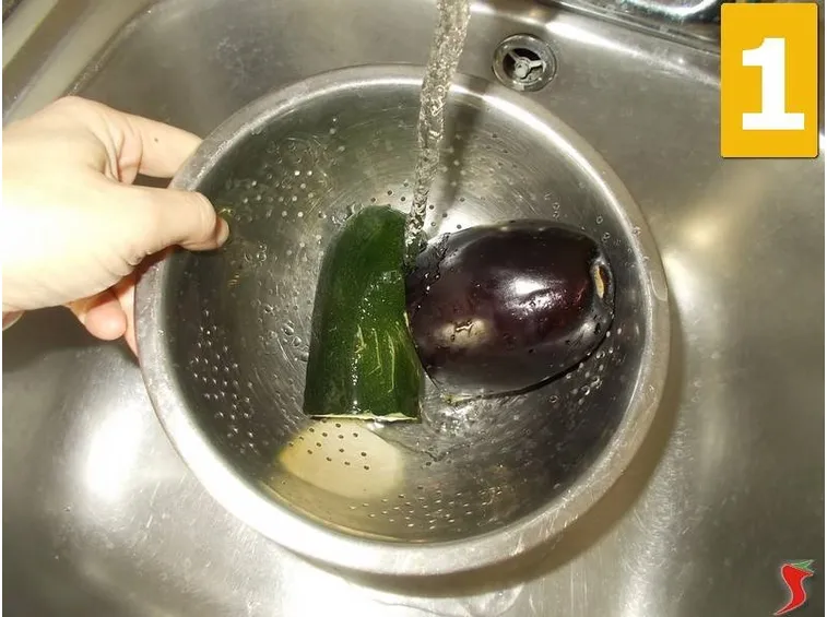 zucchina
