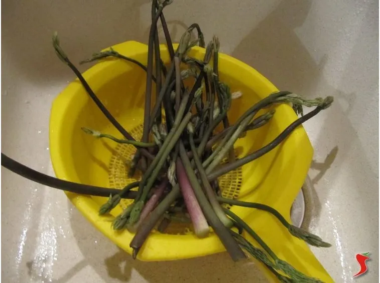 pulire asparagi selvatici
