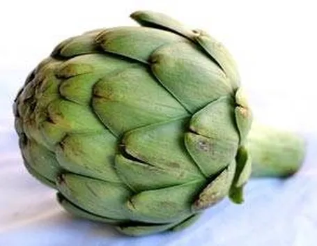 carciofi