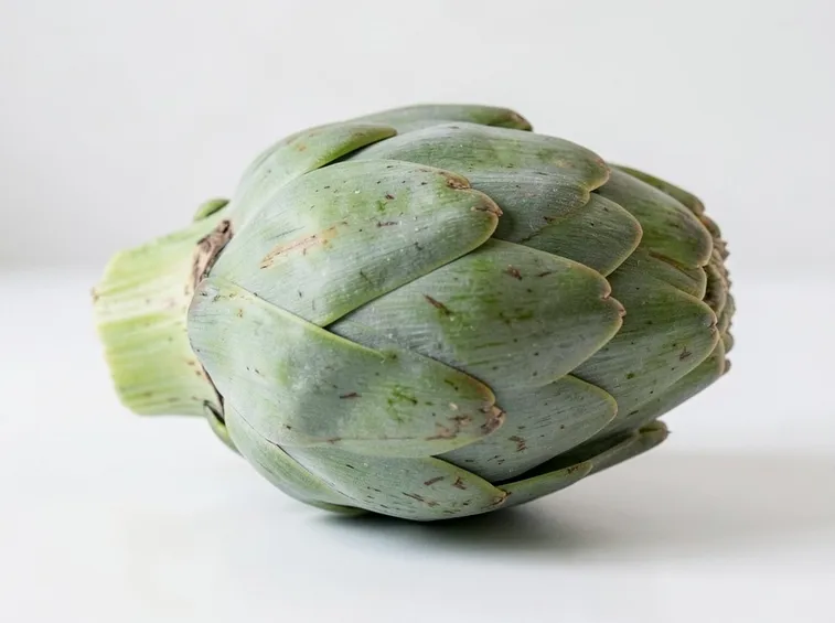 carciofi