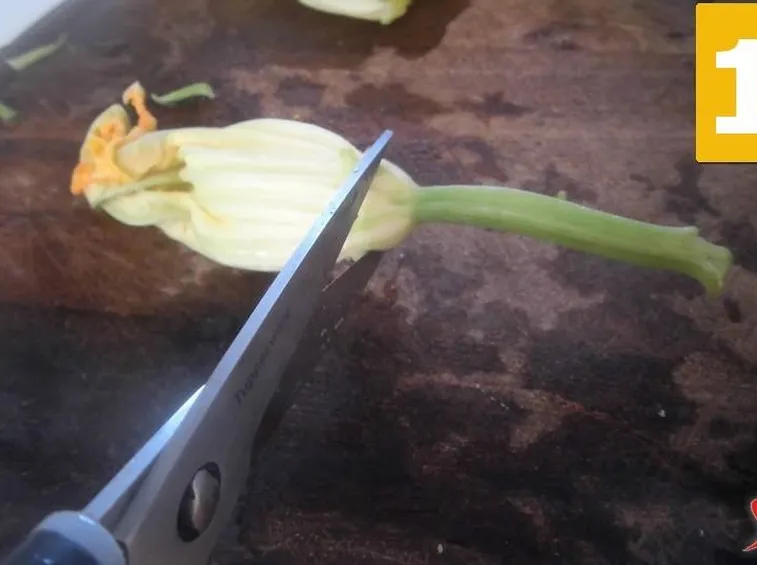 Pulire i fiori di zucca 