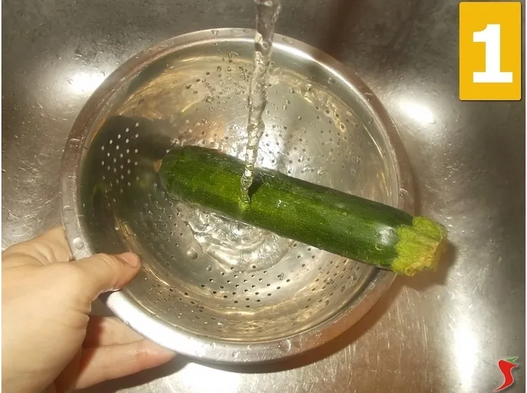 zucchina