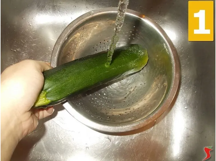 zucchina