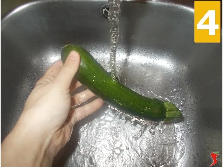 La zucchina
