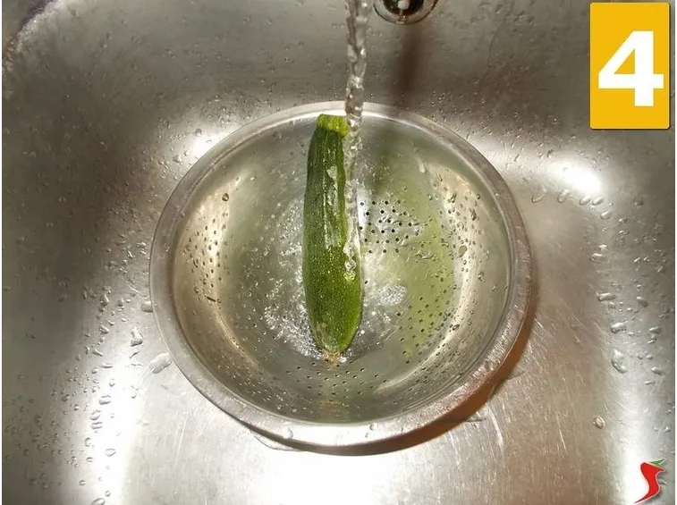 zucchina