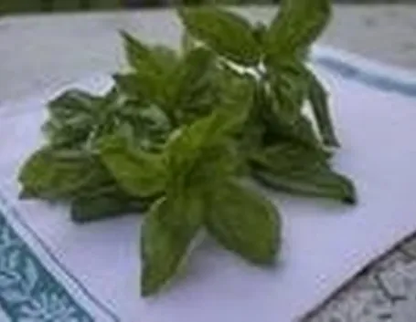Fare il pesto