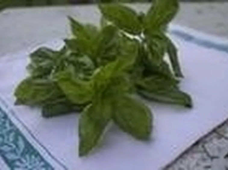 Fare il pesto