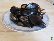 cozze