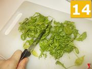 La rucola
