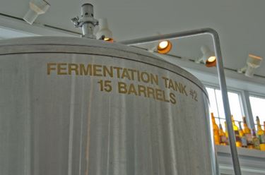 Fermentazione birra