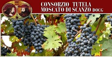 Il Moscato di Scanzo