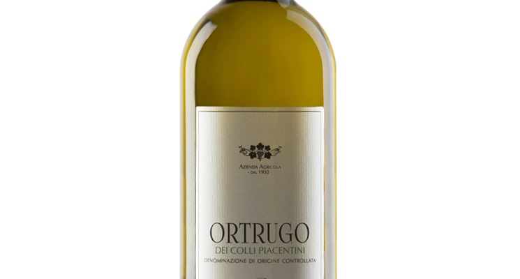 Ortrugo