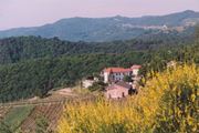 un vino rosso piemontese