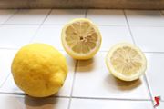 limoni per sorbetto