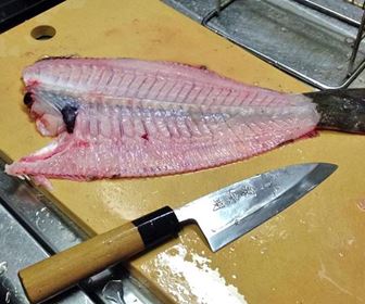 Tecniche pesce